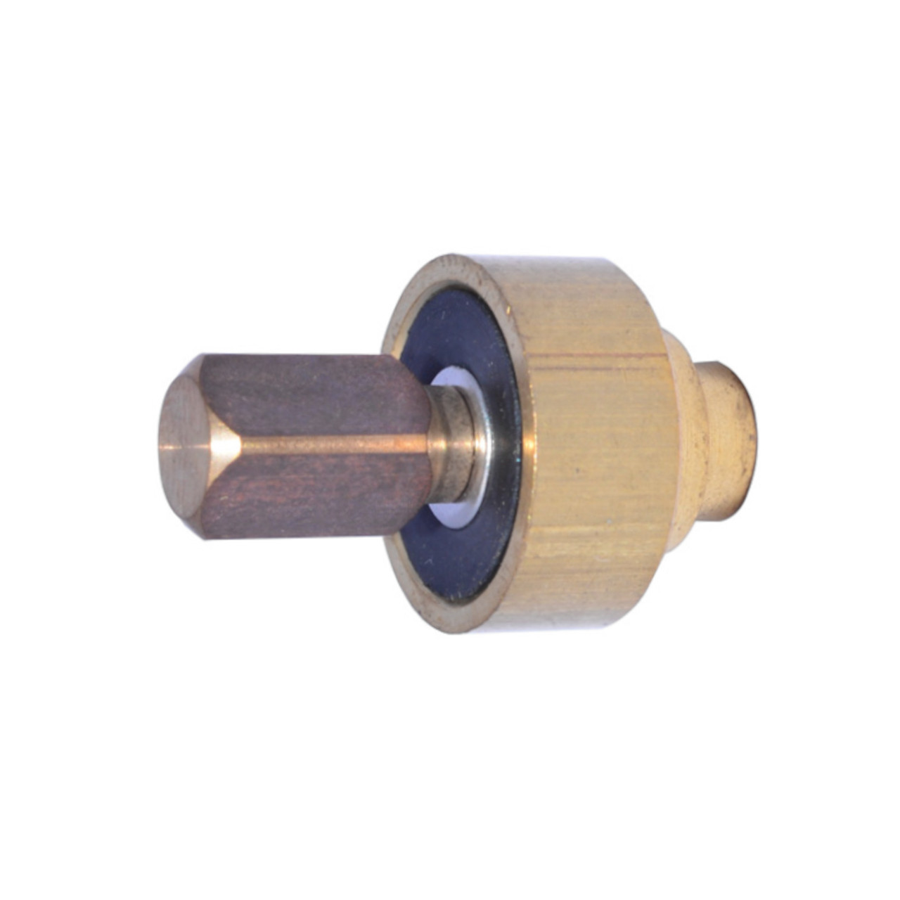 ECM Steam/Water Plug Valve
