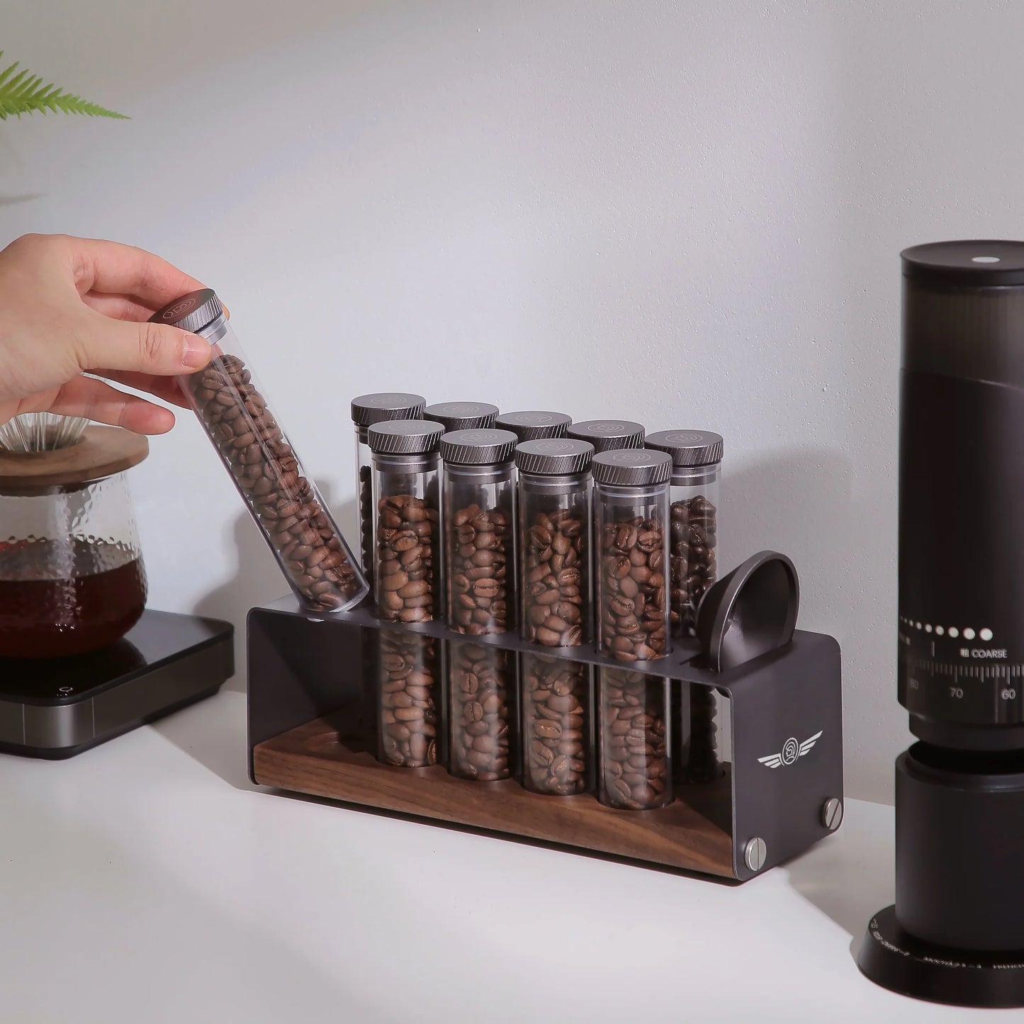 ZeroHero Coffee Bean Dosing 10 Tubes 20g