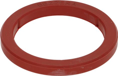 Bezzera Silicon Group Seal